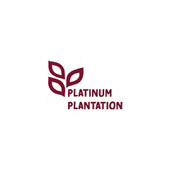Platinum Plantation